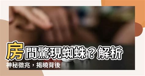 房間有蜘蛛代表什麼|小蜘蛛現身客廳，專家解析：吉兆還是凶兆？